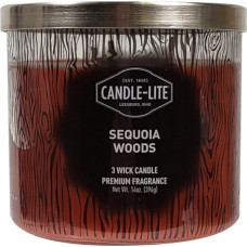 Candle Lite Scented Candle in Glass with Lid | Sequoia Woods | Sandalwood Scented Candle | Candle 3 Wick | Candles Long Burning Time up to 45 Hours | Candle Large (396 g)