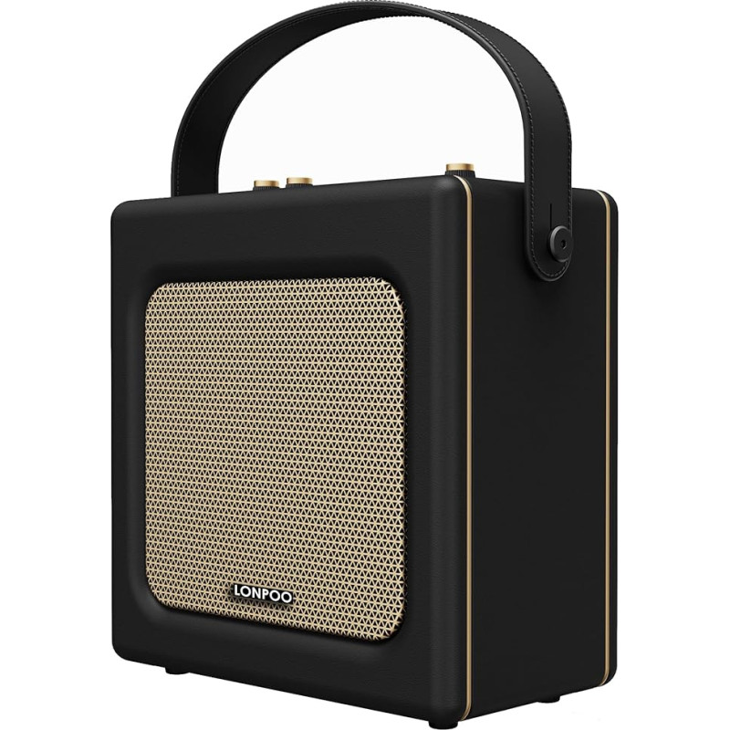 LONPOO 20 W Retro Portable Bluetooth Speaker in Leather Look with Battery, Compact System Karaoke Systems with USB Playback, Aux-in, 6.5 mm Microphone Connection, Type-C Charging