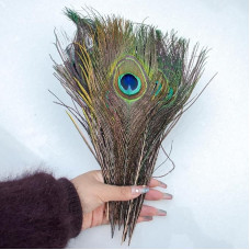 Natūralios natūralios puošnios puošmenos, 25-50 cm, skirtos šukių, vazų, dekoracijų, svetainių, butų, švenčių, vakarėlių ir pobūvių dekoravimui (25-30 cm, 200 vnt.)