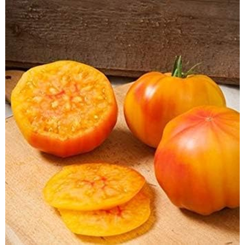100+ High Yield ITALIAN TREE TOMATO 'Trip L Crop' Tomato Seeds fruit vegetable seeds Pink