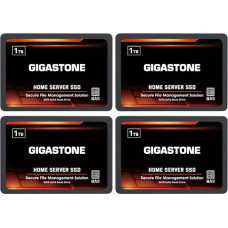 Gigastone Home NAS SSD 1TB (4 vnt.) 24/7 Durable TLC High Durability Personal Server Cloud Data Storage RAID 3D NAND 2,5 colių SATA III vidiniai kietieji diskai
