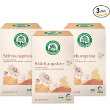 LEBENSBAUM Organic Tea 3 x Strengthening Tea, Herbal Tea Bags, with Echinacea, Green Rooibos & Ginger, Set of 3, 3 x 20 Tea Bags x 1.5 g