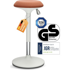 Ergotopia® Dykó Ergonomic Office Stool - Ergonomic Stool with Swing Effect - Seat Height Adjustable 56-83 cm - 360° Rotating Ergonomic Stool with Dynamic Base