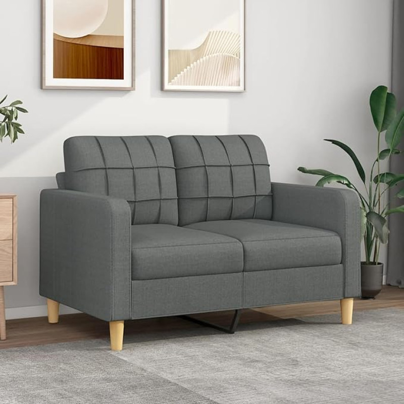 CIADAZ 2 sėdimų vietų sofa Tamsiai pilka 120 cm audinio sofa Svetainė Jaunimo sofa Atsipalaiduoti sofos ir sofos Miegamojo sofa Jaunimo vaikų kambarys