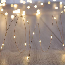 DecoKing 16 x 20 Micro LED Wire Fairy Lights Battery Operated Static Warm White