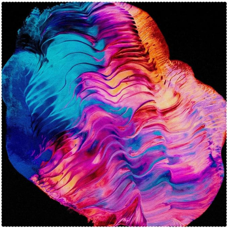 Medžiaginės lėkštės, plaunamos lėkštės valgomojo stalui, 4 vnt., meno paveikslų abstrakti mada