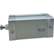 ADNGF-25-40-P-A 554235 Neu und versiegelt in Box ADNGF2540PA 554235 Pagreitinta