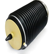 EJUOYO Luftfederung hinten für Audi A6 (4G, C7) 2011, für Audi A7 Sportback 2010 4G0616001K, 4G0616001T, 4G0616002K(Galinė kairė)