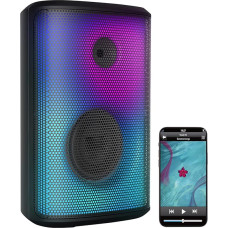 auvisio Party Box: Mobile Outdoor PA Party System & Bluetooth Boombox, Light Effects, 200 W (Music Box, Bluetooth Box, Voice Amplifier)