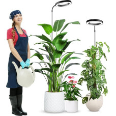 wolezek Plant Lamp LED Full Spectrum, 80 LEDs 6500 K Grow Light, 160 cm Large Grow Lamp, 3 Colours Plant Light with 360° Gooseneck, 6/12/16H Timer, 5 Brightness (Black, Pack of 2)