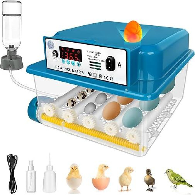 Automatinis 16 kiaušinių inkubatorius su temperatūros monitoriumi