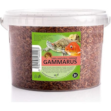 UGF Premium Gammarus Crab Dried, 3 litrai ≈ 300 g Bucket, vėžlių maistas, žuvų maistas, akvariumas, aksolotlių maistas, žiurkėnų maistas, ežių maistas, Koi maistas, žiurkių maistas