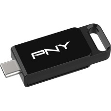 PNY 256 GB 