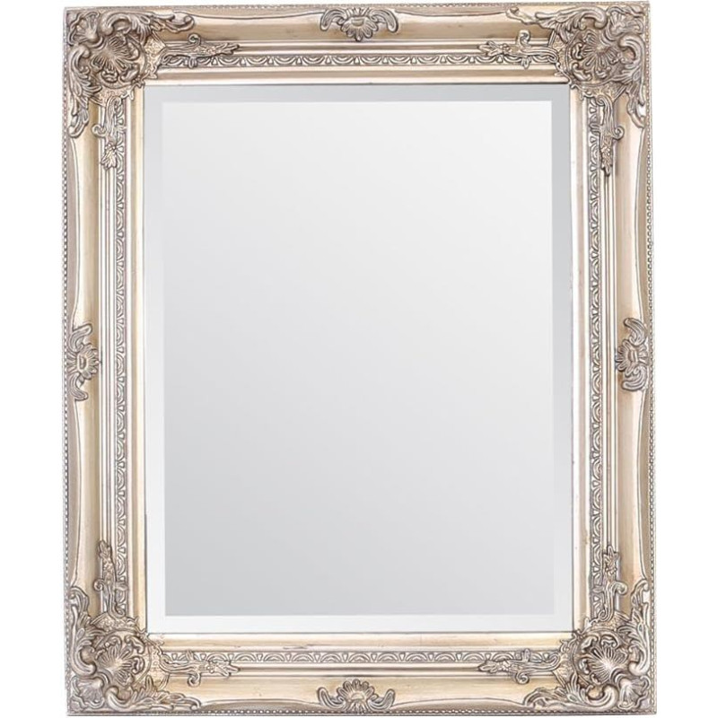 Pasirinkite veidrodžius 