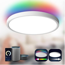 ANTENLICHT LED Ceiling Light Smart 24 W Compatible with Alexa and Google Assistant Diameter 30 cm, Controllable via App with 16 Million DIY Colours, WiFi Ceiling Light with Remote Control for Bedroom,