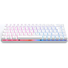 CIY X79 65% karšto keitimo mechaninė klaviatūra/RGB žaidimų klaviatūra/USB C/Anti Ghosting/N-Key Rollover/Compact Layout 69 klavišai/Laidinė klaviatūra Mac Windows