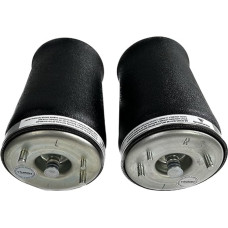 EJUOYO Hinten EIN Paar Luftfederung Frühling Tasche Für BMW X5 E53 Links Oder Rechts Auto Zubehör 37121095579 37121095580