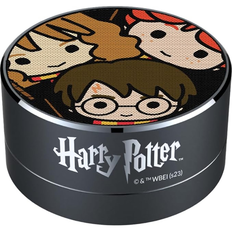 ERT GROUP Harry Potter 026 