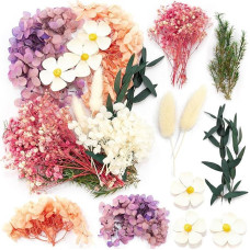 iDattel Natūralios džiovintos gėlės, natūralios mišrios gėlės, 