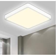 LQWELL® Ceiling Light LED Ceiling Light, IP44 Waterproof Bathroom Lamp Square Flat 40 W 4000 K 4300 LM Modern Simple Lamp Thin for Living Room Bathroom Bedroom Kitchen Balcony Cellar Office 500 x 25