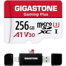 GIGASTONE 256 GB 