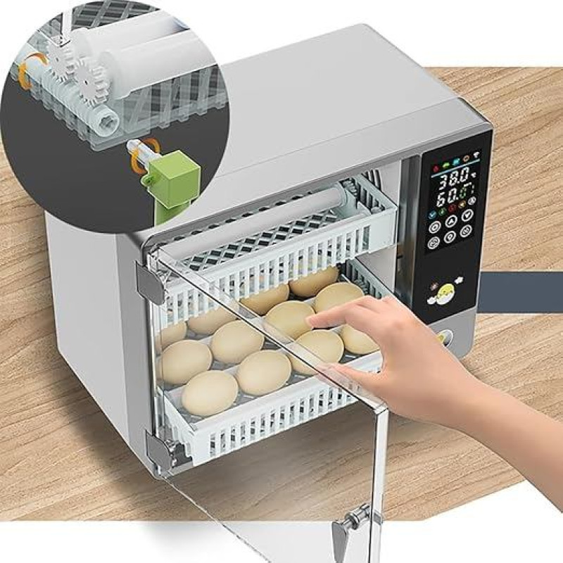 NEWFUN visiškai automatinis inkubatorius, 24 kiaušiniai, išmanusis temperatūros valdymas, jutiklinis ekranas, su automatine sukimosi sistema ir temperatūros reguliavimu, skirtas inkubatoriniams viščiukams, putpelėms