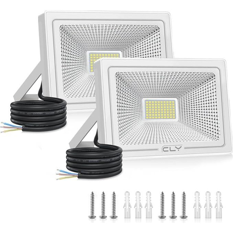 CLY LED prožektorius, šaltai baltos spalvos.