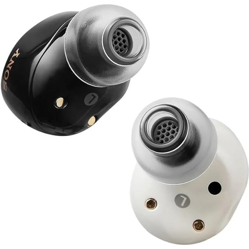 AZLA SednaEarfit Crystal Standard 2 - Triukšmą slopinantys pakaitiniai ausų antgaliai, suderinami su 