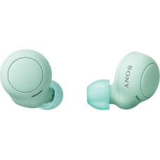 Sony WF-C500 True Wireless Headphones (up to 20 Hours Battery Life with Charging Case, Compatible with Voice Assistant, Built-in Microphone for Calls, Bluetooth), Green