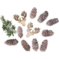 Rayher 55952999 Decorative Mix Christmas Cones, Fir Branch, Elk Heads, Pack of 12, Assorted Bags, 4-12, for Winter Decorations