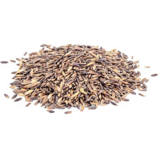 STAWA Black Oats 25kg