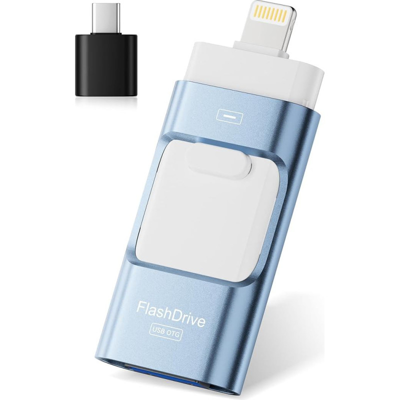 USB atmintinė 256 GB 