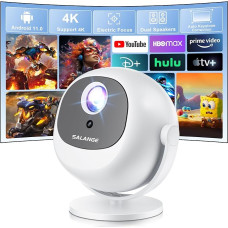 ZDSSY 4K vaizdo projektorius, nedidelis, 1080P projektorius su 