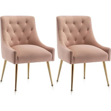 SEYNAR valgomojo kėdės (2 vnt.), modernios valgomojo kėdės su aukso spalvos kojomis, kosmetinės kėdės, svetainės kėdės prie rašomojo stalo, miegamojo ir virtuvės