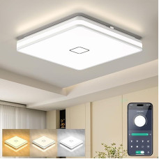 Öuesen lubų šviestuvas LED su programėle Smart Dimmable, lubų šviestuvas vonios kambariui 3000 K/4000 K/5000 K, vonios kambario šviestuvas 24 W modernus kvadratinis vonios kambario lubų šviestuvas, atsparus vandeniui IP44, vonios kambario šviestuvas gyven