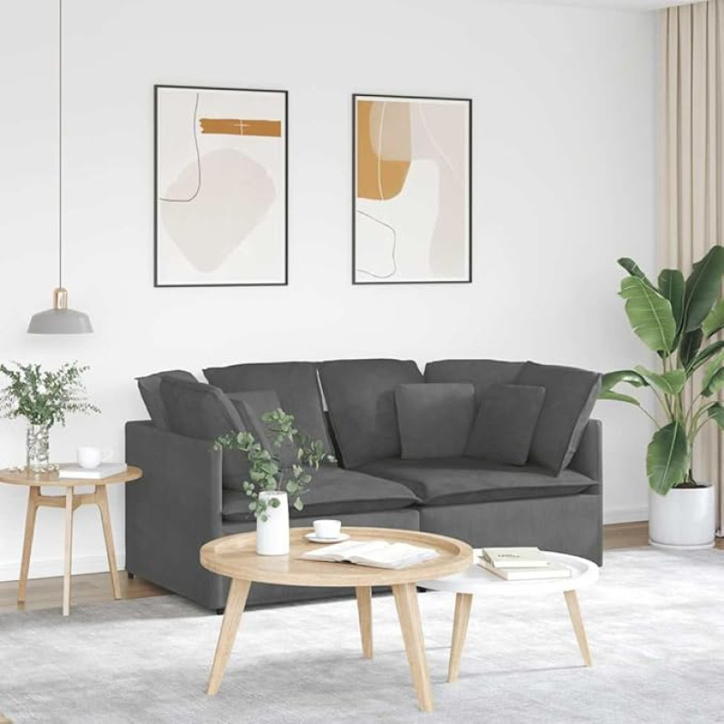 IKAYAA 2 vietų sofa 200 x 100 x 64 cm, maža sofa, moderni sofa, dviejų vietų sofa, siūtos mažos sofos svetainei, miegamajam, biurui, butui, tamsiai pilka