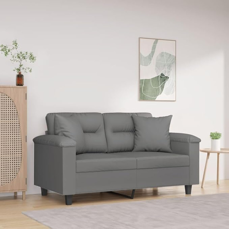 2 vietų sofa su pagalvėle Svetainės sofa Sėdimoji zona Svetainės sofa Sofa sofa Sėdimoji zona Tamsiai pilka 120 cm mikropluošto audinys