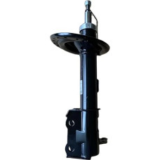 LUFTFEDERBEIN Hinten Stoßdämpfer Für BYD TANG DM 2,0 T-Hybrid Zubehör Pakabos komplektas Ersatzteile Luftfederung(Galinis kairysis)