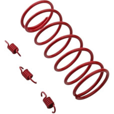 ainih Kupplungsfeder, Torsionsfeder, 1000 U/min, 1500, 2000, kompatibel mit GY6 125 cc, 150, 152QMI 157QMJ, 4-Takt