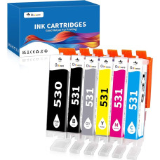 OINKWERE 530 531 Cartridges Compatible with Canon PGI-530 CLI-531 Printer Cartridges for Canon TS8750 TS8751 (530 531 Black PGBK Cyan Yellow Magenta Grey Pack of 6)