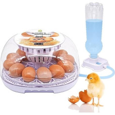 12-35 kiaušinių inkubatoriaus talpa Skaitmeninis visiškai automatinis inkubatorius Automatinis rotacinis inkubatorius Automatinis vandens tiekimas Matomas dangtelis