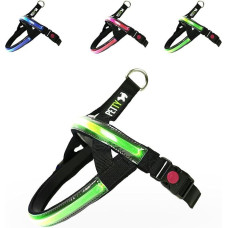 Norvegijos LED diržai šunims (žali, L)