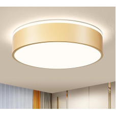Vikaey Modern Ceiling Light, LED Ceiling Light, Gold Metal, 4000 K, 36 W Bedroom Light for Living Room, Kitchen, Bathroom, Corridor, Dining Room, Lounge, Diameter 40 cm