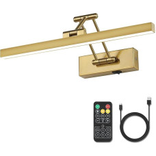 Pasoar Picture Light Battery Operated Brass 40 cm Long Rechargeable Wall Lights Dimmable LED Library Light with Swing Arm and Timer Function Battery Wall Light Indoor Gold Colour