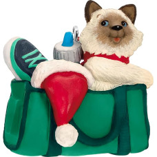 Hallmark Keepsake Kalėdų dekoracijos 2022 išdykę kačiukai mini medžio papuošalai plastikiniai