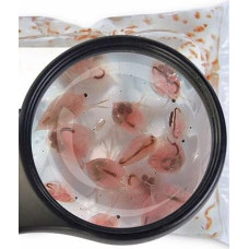 Gyvas maistas Žuvų maistas Įvairios rūšys 45 ml arba 90 ml gyvo maisto Sahawa (Dafnijos 90 ml)