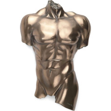 Bronzos apdaila Nuogas vyriškos lyties liemuo Sieninis kabantis paveikslas Anatomija