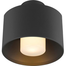 SLV 1008199 Paviršinis lubinis šviestuvas sienoms, takams, įėjimams, lauko LED prožektorius, paviršinis šviestuvas, lauko sodo šviestuvas, lubinis prožektorius / E27 IP65 13 W juodas