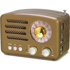 PRUNUS J-160 Klasikinis radijo imtuvas Retro dizainas FM AM(MW) SW SD USB MP3 Bluetooth tranzistorinis radijo imtuvas su garsiakalbiu, palaiko AUX funkciją, 270° didelis kompaso derinimo langelis. (Auksinis)