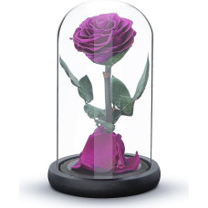 Amžinoji rožė visiems laikams, šviežia rožė dovana, saugoma 5 metus, rankų darbo, dovanos moterims gimtadienio proga, unikalios neįprastos | Motinos diena, jubiliejus, Kalėdos, Valentino diena (violetinė)